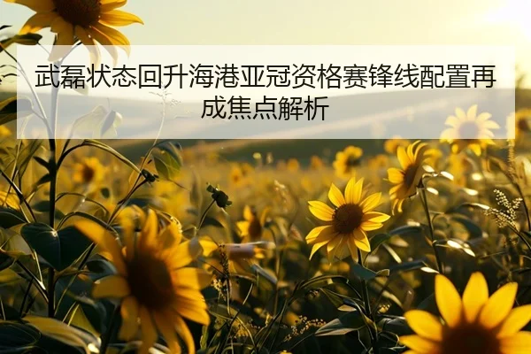 武磊状态回升海港亚冠资格赛锋线配置再成焦点解析